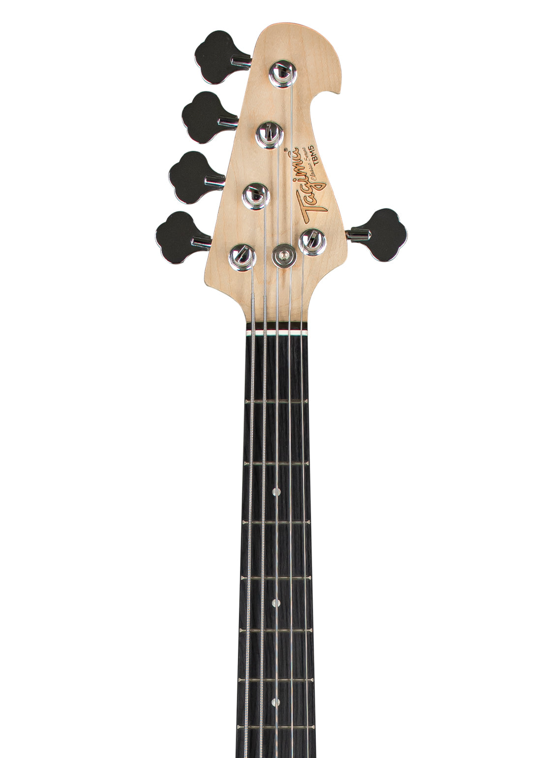 BAJO ELECTRICO ACTIVO | TBM 5 OWH DF TT