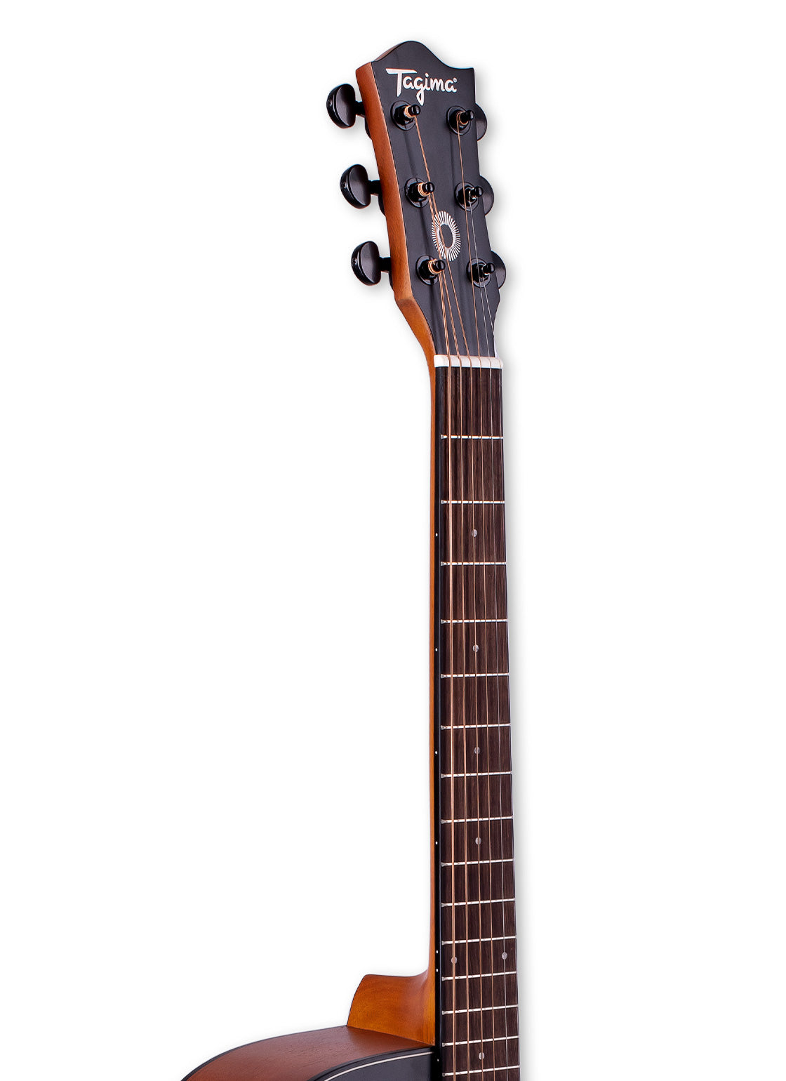 GUITARRA ELECTROACÚSTICA | METRÓPOLIS