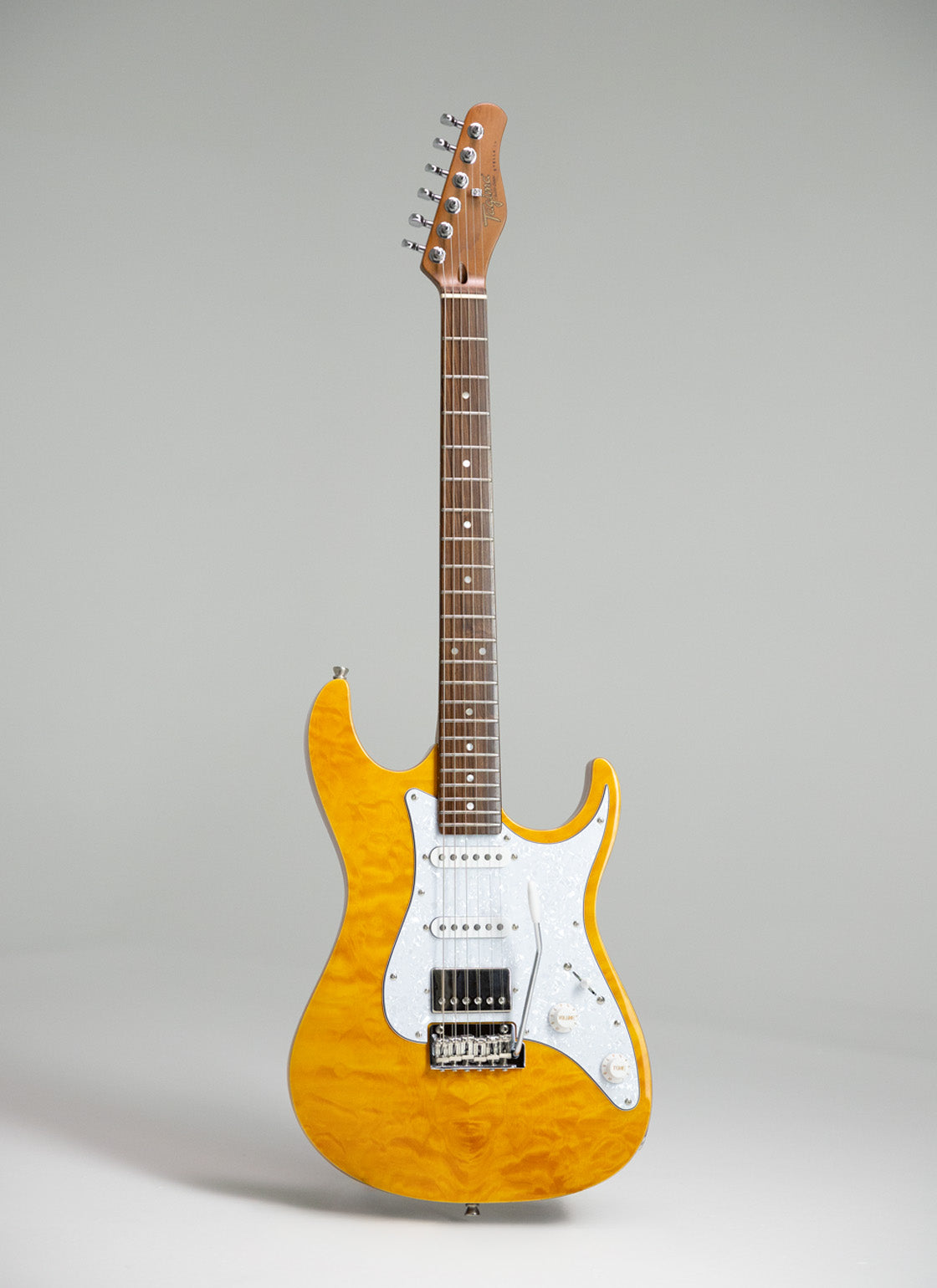 GUITARRA ELECTRICA | STELLA TAMB