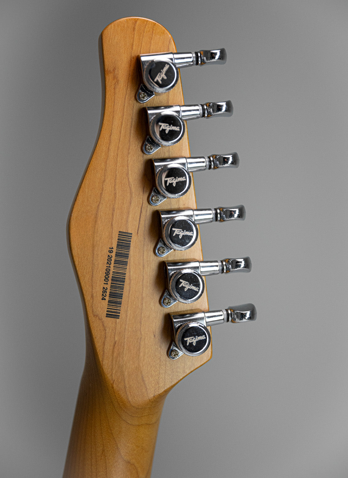 GUITARRA ELÉCTRICA | STELLA TBLF