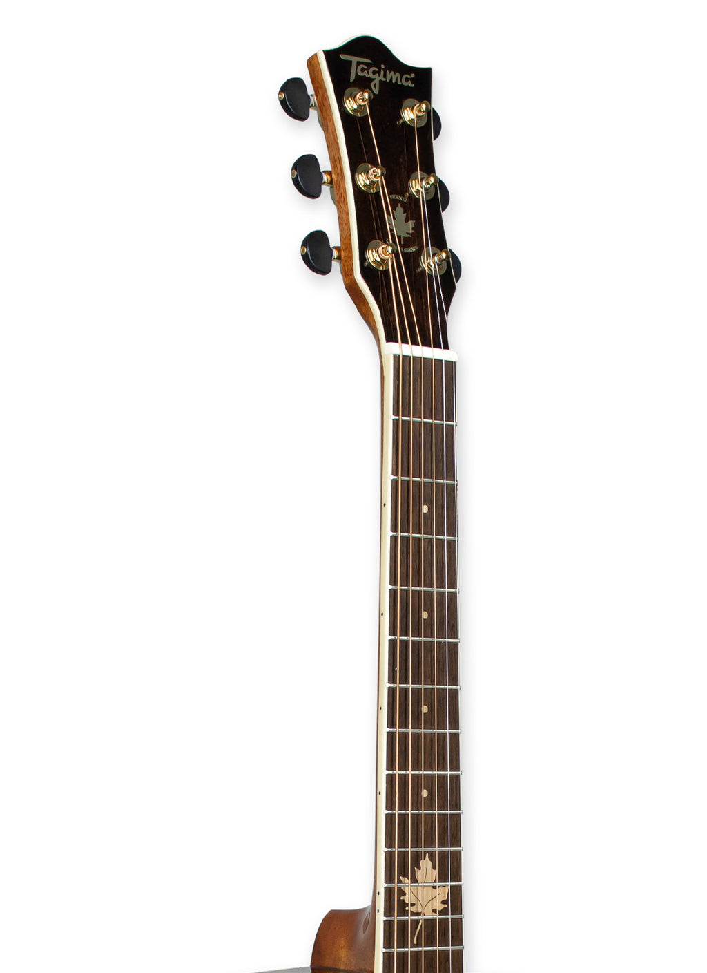 GUITARRA ELECTROACUSTICA DE VIAJE 3/4, SERIE CANADA | FERNIE NT
