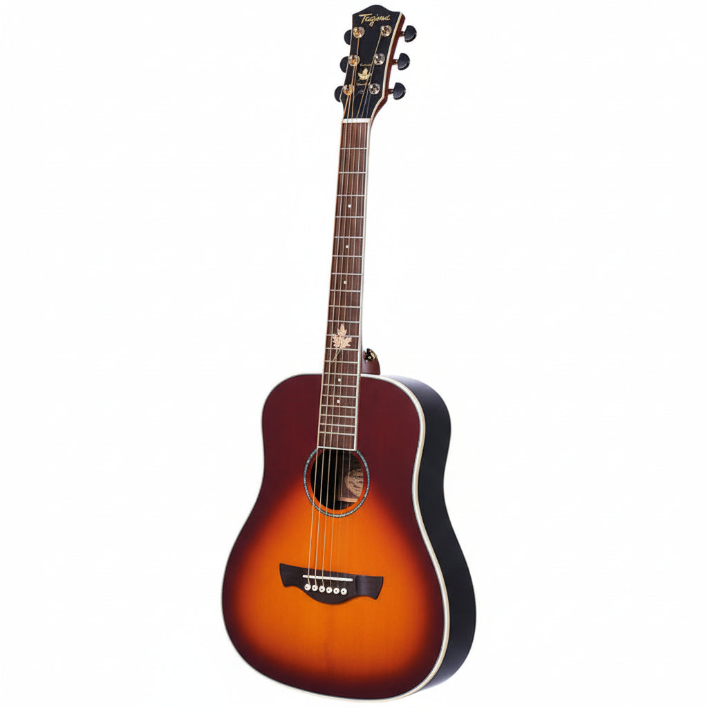 GUITARRA ELECTROACUSTICA DE VIAJE 3/4, SERIE CANADA | FERNIE CB