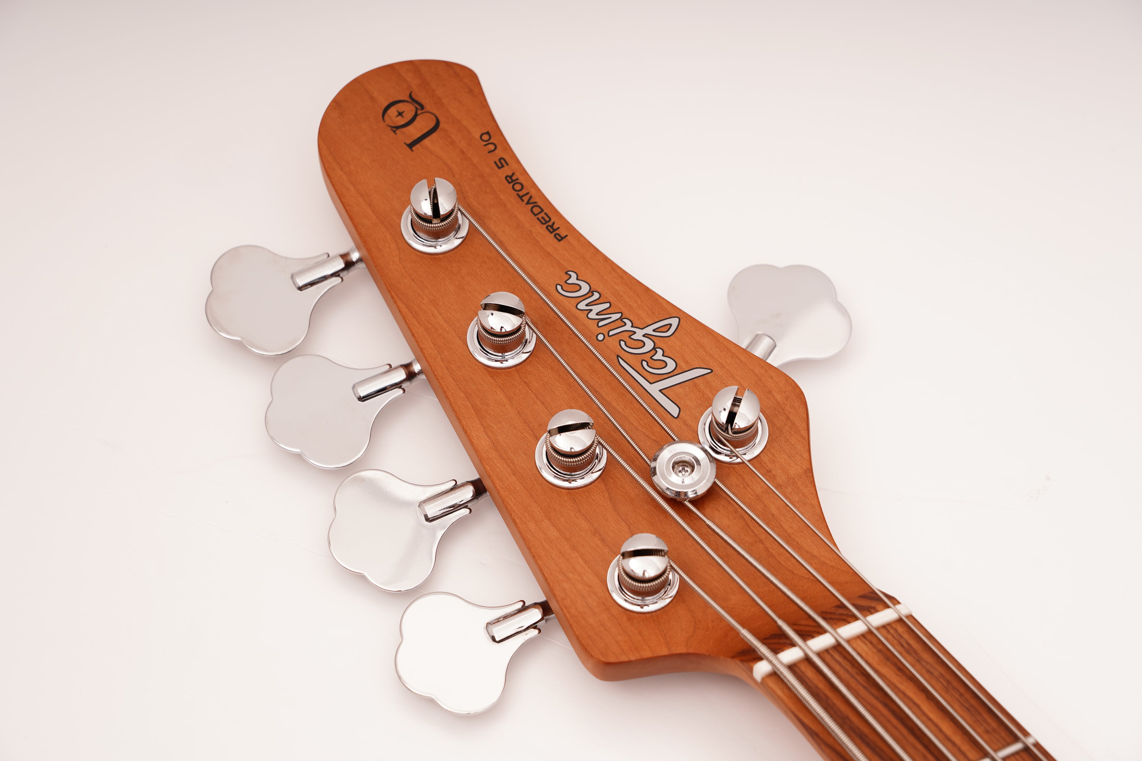 TAGIMA | BAJO PREDATOR-5-SB-DF-TT