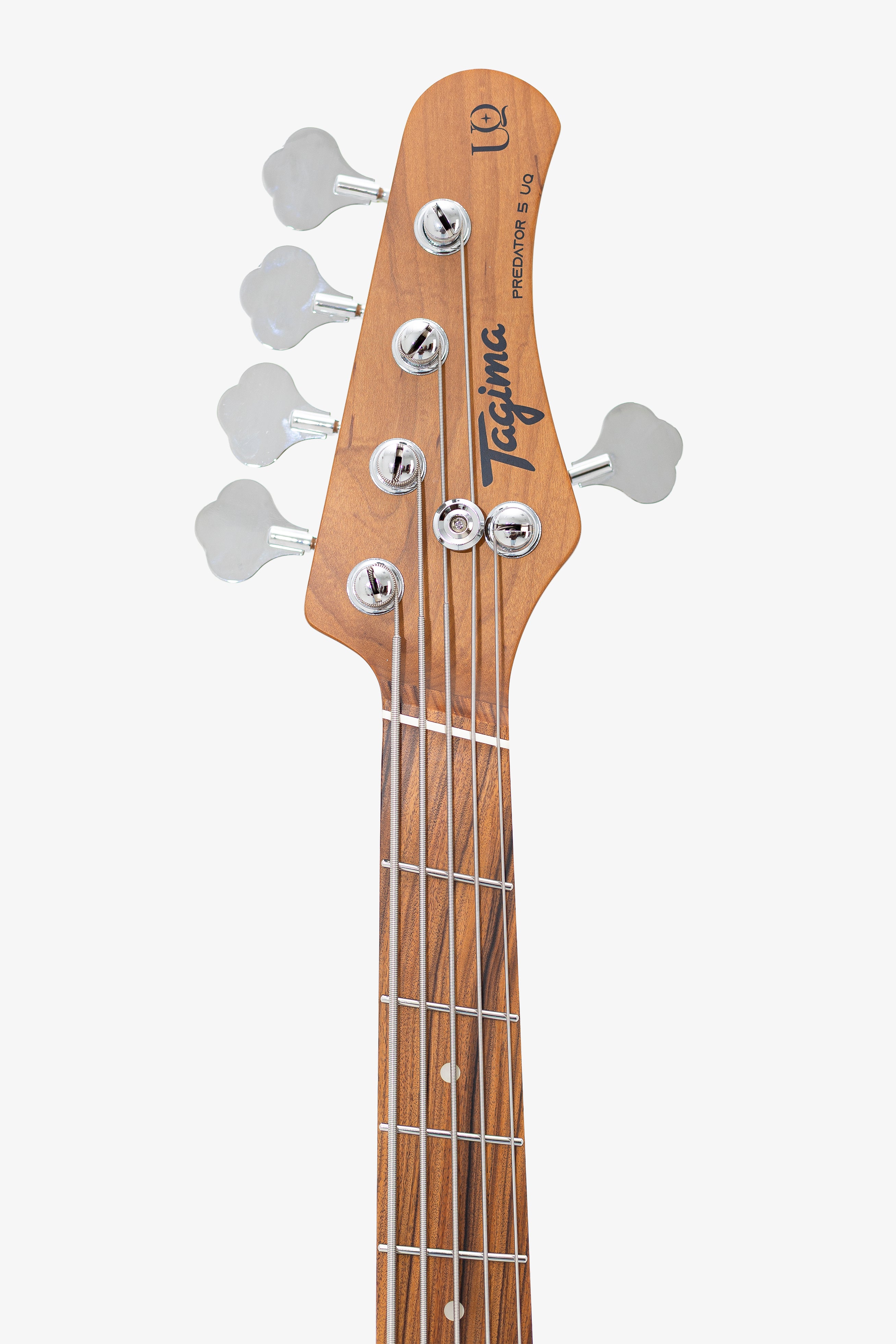 TAGIMA | BAJO PREDATOR-5-SB-DF-TT